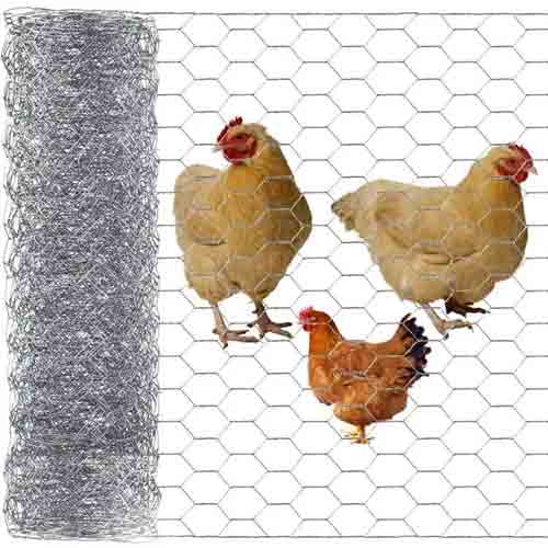 galvanized pvc coated hexagonal chicken wire mesh netting